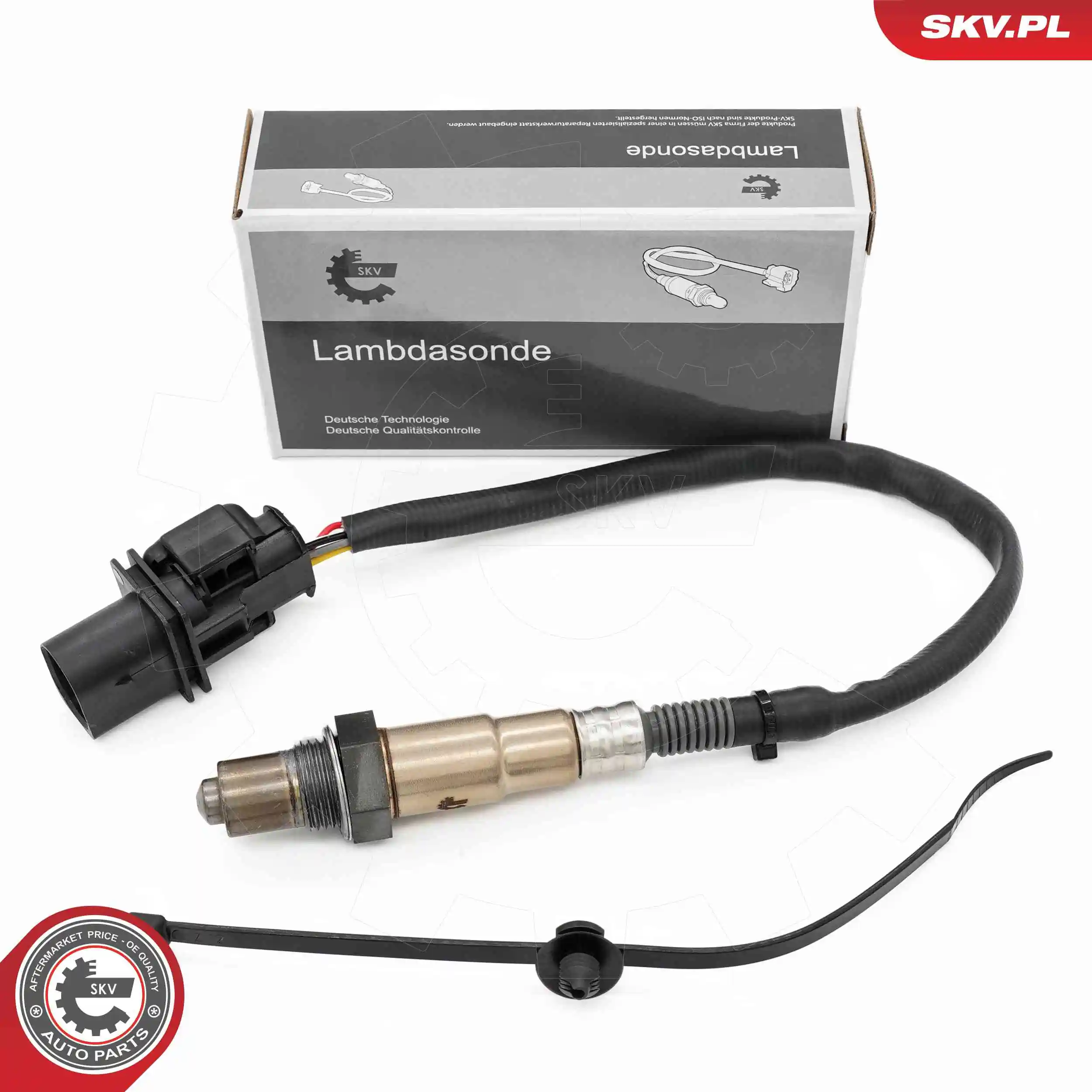 Oxygen Sensor